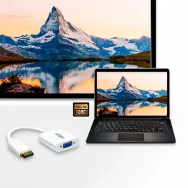 ATEN VC925 DisplayPort auf VGA Adapter 10 cm Weiß