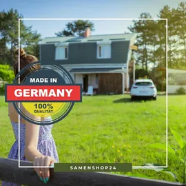 Kiepenkerl Rasensamen Sunny Green für trockene, Standorte 10 kg