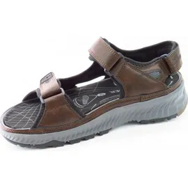 Allrounder Honduras Herren Braun 43