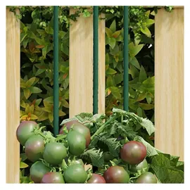 vidaXL Pflanzenstützen 30 Stk. Staudenhalter 150 cm Grün Stahl