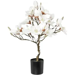 CREATIV green künstliche Pflanze Magnolienbaum beschneit, 58 cm