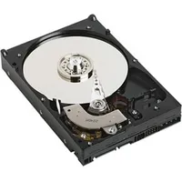 Dell Festplatte 1 TB (1 TB, 3.5"), Festplatte