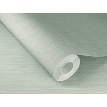 Rasch Textil Vliestapete Curiosity 10,05 m x 0,53 m 537659 Hellgrün