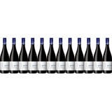 12x Blauer Portugieser und Dornfelder feinherb, 2022 - Weingut Ritter, Rheinhes...