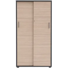 MÖBELPARTNER Metz Aktenschrank 80,1 x 38,2 x 150 cm silber