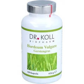 Dr. Koll Biopharm GmbH Gerstengras Hordeum vulgare Kapseln