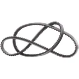 DAYCO Keilriemen 10A1175C