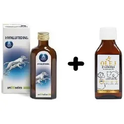 Hyalutidin für Gelenke 125ml + Lab-V Lachsöl 100ml