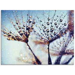Glasbild ARTLAND "Pusteblume Regen abstrakt", blau (farbe bild(er): blau), B:80cm H:60cm, Bilder, in verschiedenen Größen