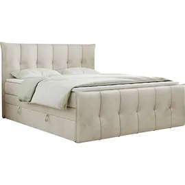 MKS Meble King Boxspringbett 200 x 200 cm H3 Beige