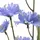 Decoris Kunstblumen Kornblume am Stiel 55cm blau