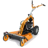 AS Motor 63 4T Briggs & Stratton Allmäher
