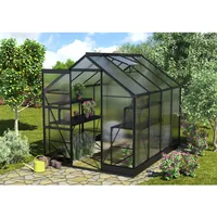 Vitavia Gewächshaus Apollo 5000 Schwarz 5 m2 inkl. Fundament