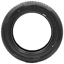 ROADHOG RGAS02 225/50 R17 98V XL