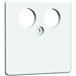 Homeway HW-ZP-TV Zentralplatte 50mm rws HAXHSE-G0201-C001