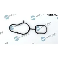 DR.MOTOR AUTOMOTIVE Dichtung, Wasserpumpe