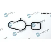 DR.MOTOR AUTOMOTIVE Dichtung, Wasserpumpe