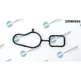 DR.MOTOR AUTOMOTIVE Dichtung, Wasserpumpe