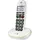 Doro PhoneEasy 110 Duo weiß