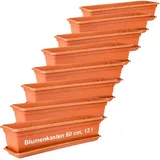 2 friends 2friends Blumenkasten 60cm mit Untersetzer – 8er-Set, Hochwertiger Kunststoff, Terracotta, Made in EU