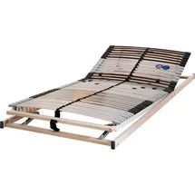fan Punktoflex Ergo motorisch verstellbar 140 x 200 cm