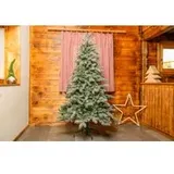 Evergreen Weihnachtsbaum Fichte Frost 180 cm