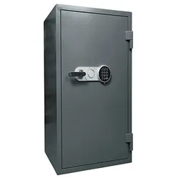 Filex Tresor 165-EL mit Feuerschutz grau 71,0 x 58,1 x 170,0 cm