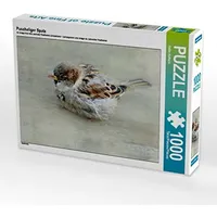 Calvendo Puscheliger Spatz Puzzle