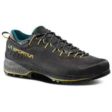 La Sportiva TX4 Evo GTX Carbon/Bamboo 42