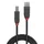 Lindy USB-A auf USB-B 2 m Schwarz
