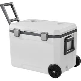 Vevor tragbare Kühlbox 45 Qt 42,5 l