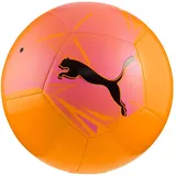 Puma Big Cat Ball