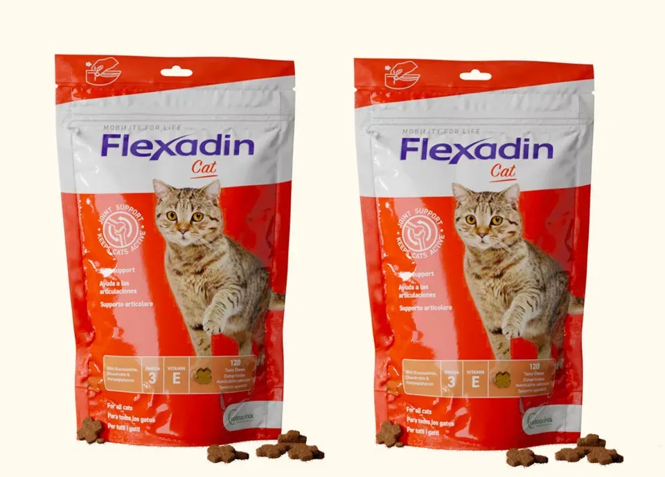 VETOQUINOL Flexadin Katze 2x60 Kapseln