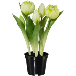 Kunstpflanze Tulpe I in Grün/Weiß