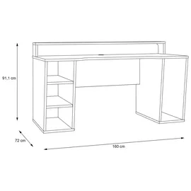 Forte Tezaur Gaming Desk mit RGB-Beleuchtung weiß