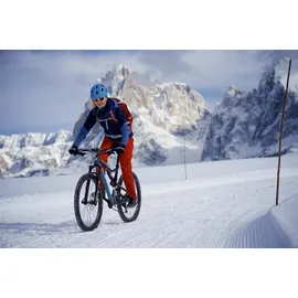 Schwalbe Ice Spiker Pro 29 x 2,60 Zoll Drahtreifen