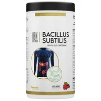 HBN Supplements - Bacillus Subtilis Biotic Gut Care Drink 600 g Dose, Red Berry