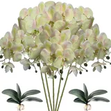 HinyoCo 5 Künstliche Phalaenopsis-Blumen,80 cm Künstliche Orchidee mit Künstliche Orchidee Blätter 2 Bündeln, Party, Büro, Terrasse, Hof, Heim-Blumendekoration (Hellgrün rosa)