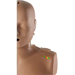 Prestan Erwachsenen HLW-Torso mit Leuchtanzeige
