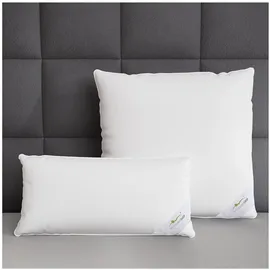 BettwarenShop Comfort Kopfkissen 80 x 80 cm Weiß