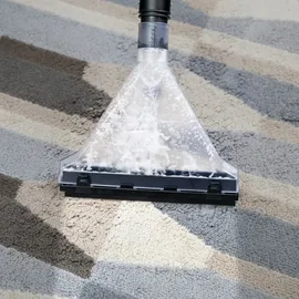 Lehmann Ultrawash All-in-One 2000