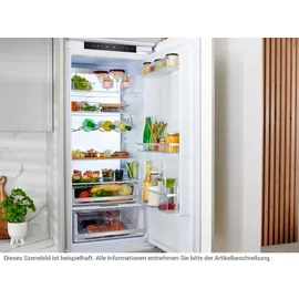 Amica EKGCX 387 955 Einbau-Kühlgefrierkombination (237 l, 1769 mm hoch)