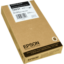 Epson Tinte C13T603100  foto schwarz