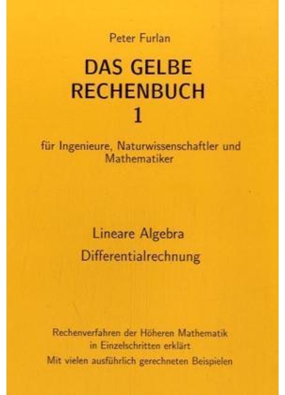 Lineare Algebra  Differentialrechnung - Peter Furlan  Kartoniert (TB)