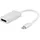 Value Display Adapter Typ C - DisplayPort 10,0 cm Silberfarben