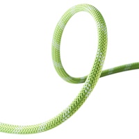 Edelrid Static Low Stretch 11,0mm neon green (499) 70