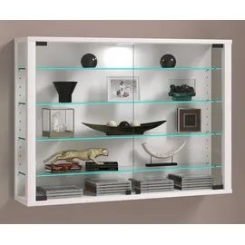 VCM Wandvitrine Hängevitrine Glasvitrine Vitrosa L