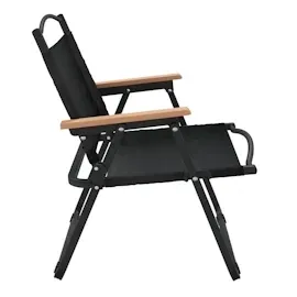 vidaXL Campingstuhl 2er Set Schwarz