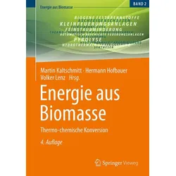 Energie aus Biomasse