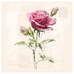 Ambiente Luxury Paper Products Papierserviette 20 Servietten Vintage Rose 33x33cm, (20 St) rosa